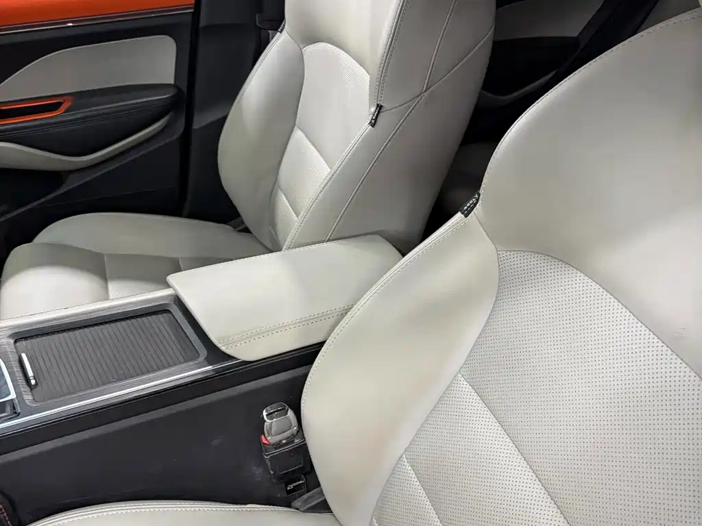 Geely Binrui 2019