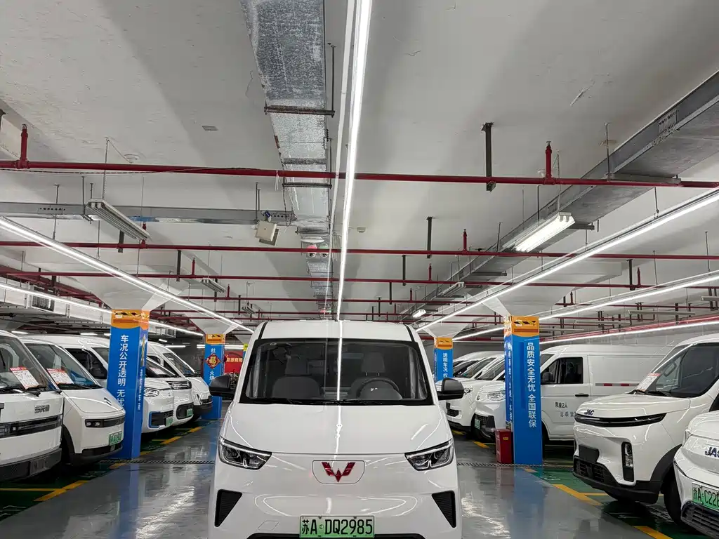 Wuling Yangguang 2024