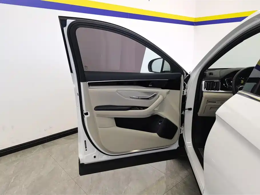 BYD PLUS New Energy 2022 — фото 7