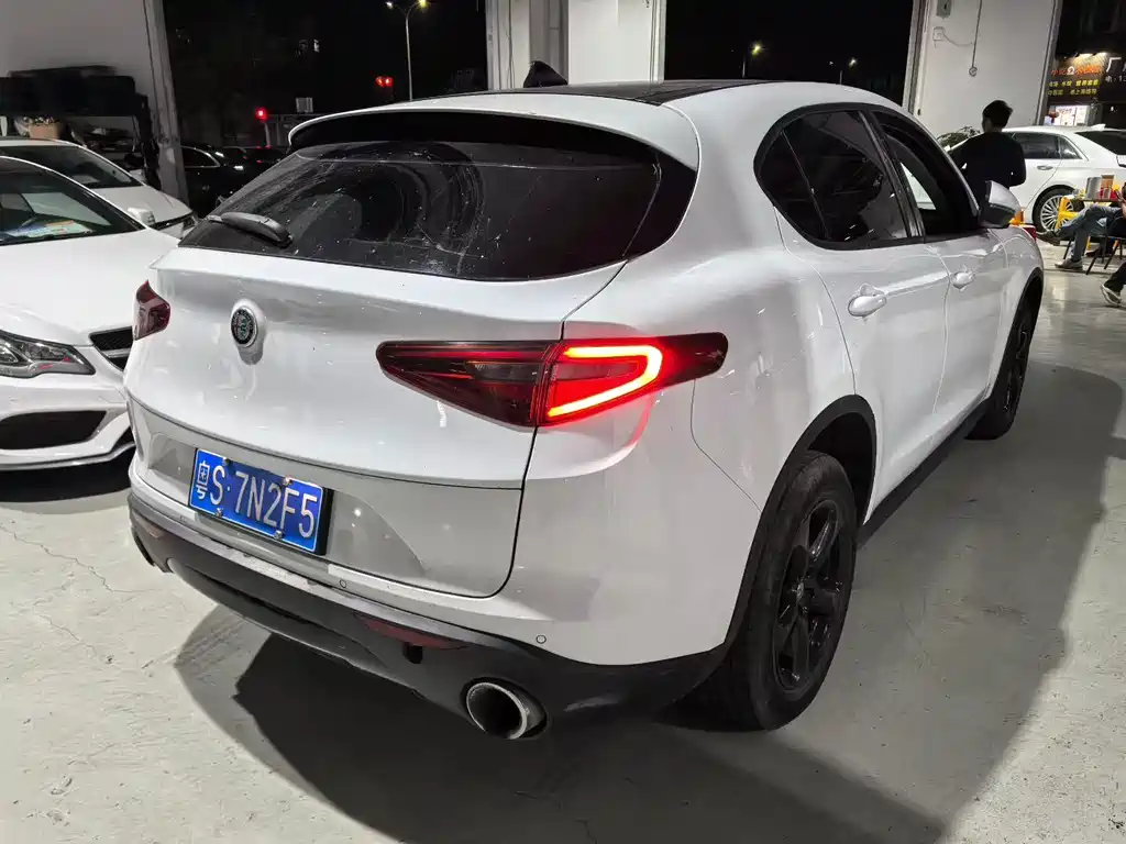 Alfa Romeo Stelvio 2019 — фото 4