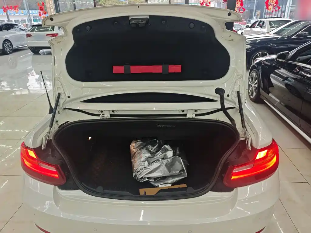 BMW 2 Series 2015 — фото 19