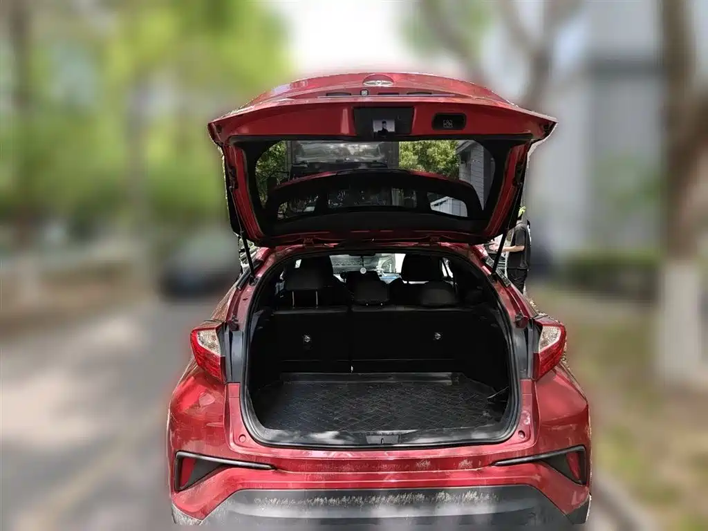 Toyota C-HR 2019 — фото 10
