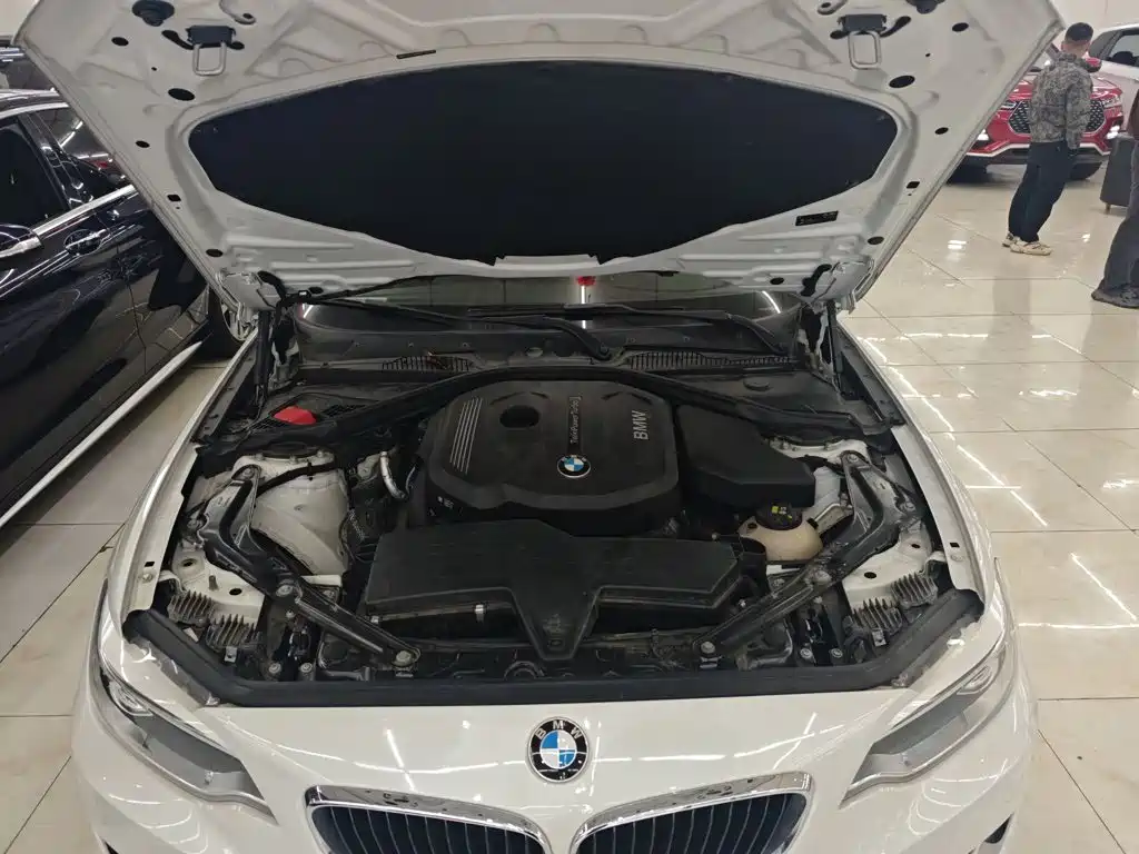 BMW 2 Series 2015 — фото 20