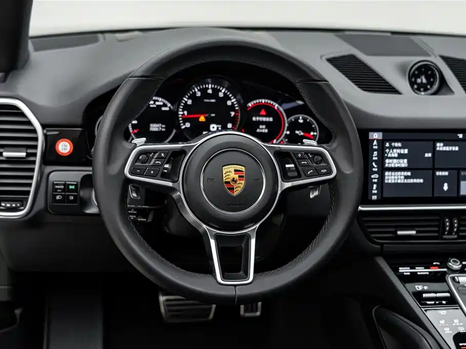 Porsche Cayenne 2019 — фото 13