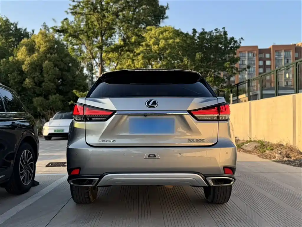 Lexus RX 2021 — фото 11