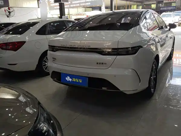 BYD Destroyer 05 2024