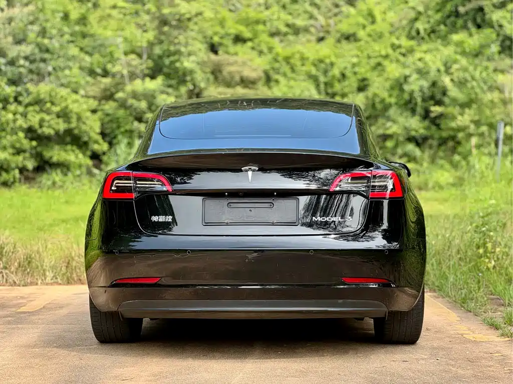 Tesla Model 3 2021 — фото 5