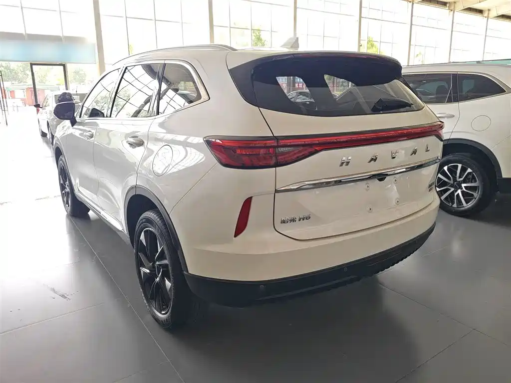 Haval H6 2023 — фото 23