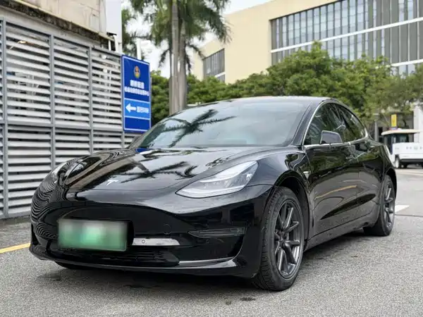 Tesla Model 3 2019