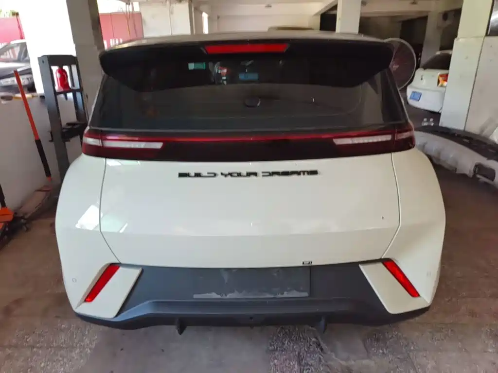 BYD Seagull 2024