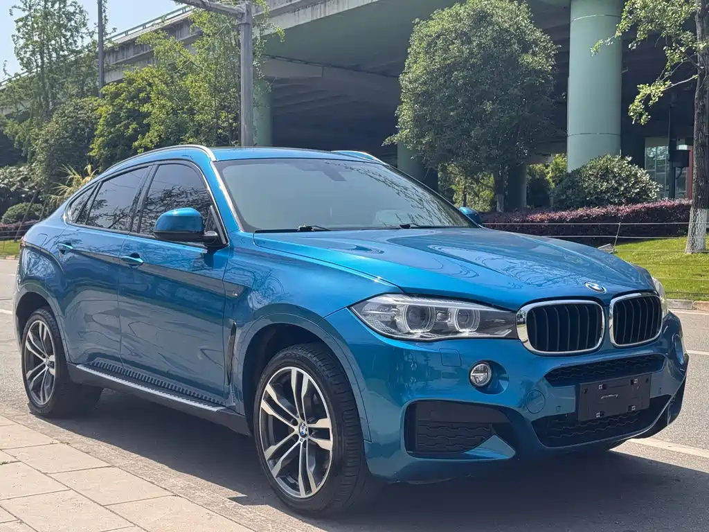 BMW X6 2019 — фото 3