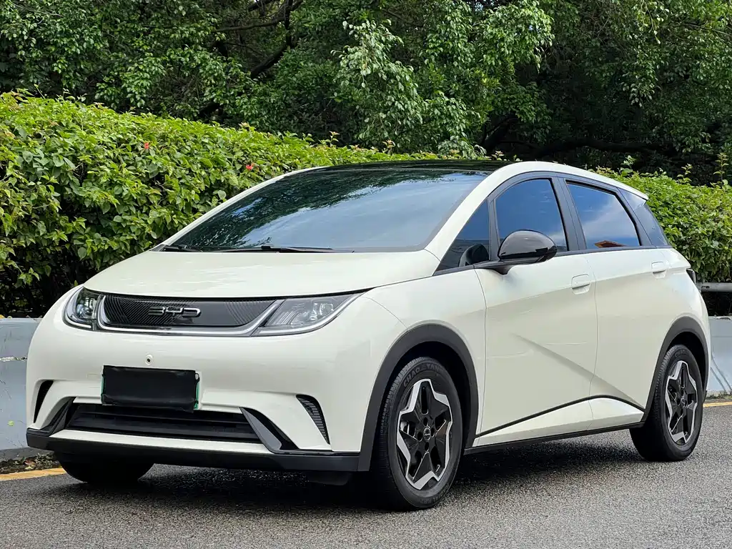 BYD Dolphin 2022