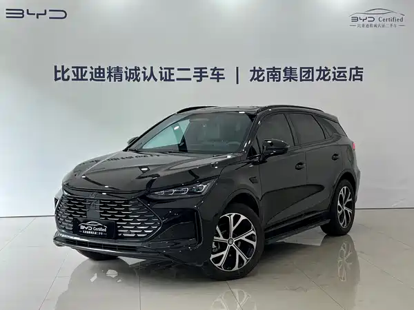 BYD Tang New Energy 2025