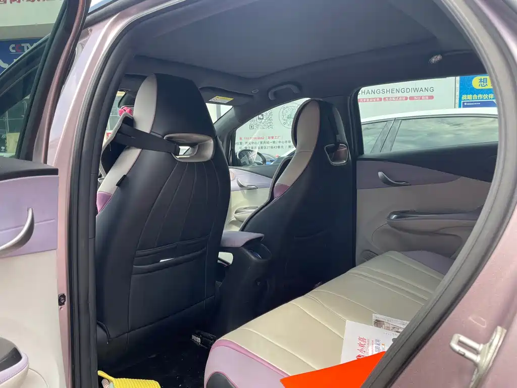 BYD Dolphin 2022