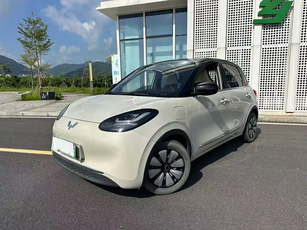 Wuling Bingo 2024