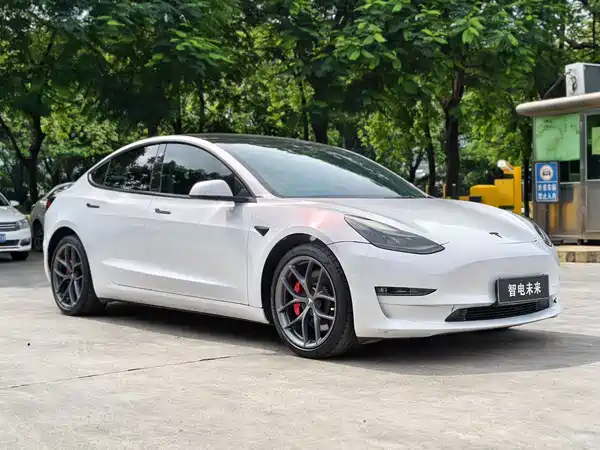 Tesla Model 3 2021
