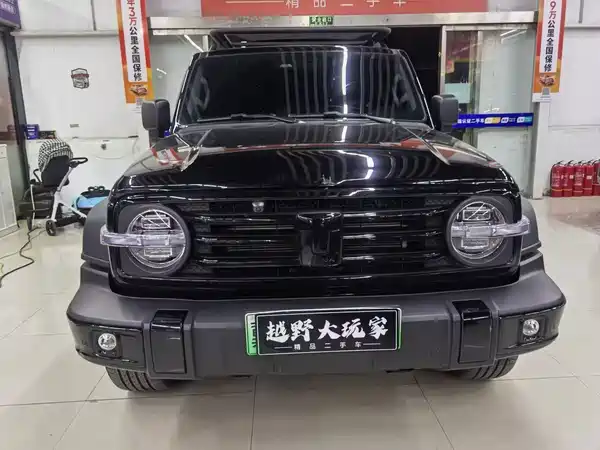 Tank 300 New Energy 2025