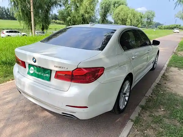 BMW 5 Series 2019