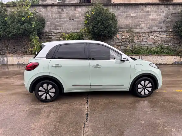 Wuling Bingo 2024