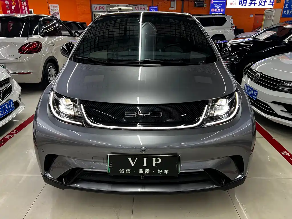BYD Dolphin 2024