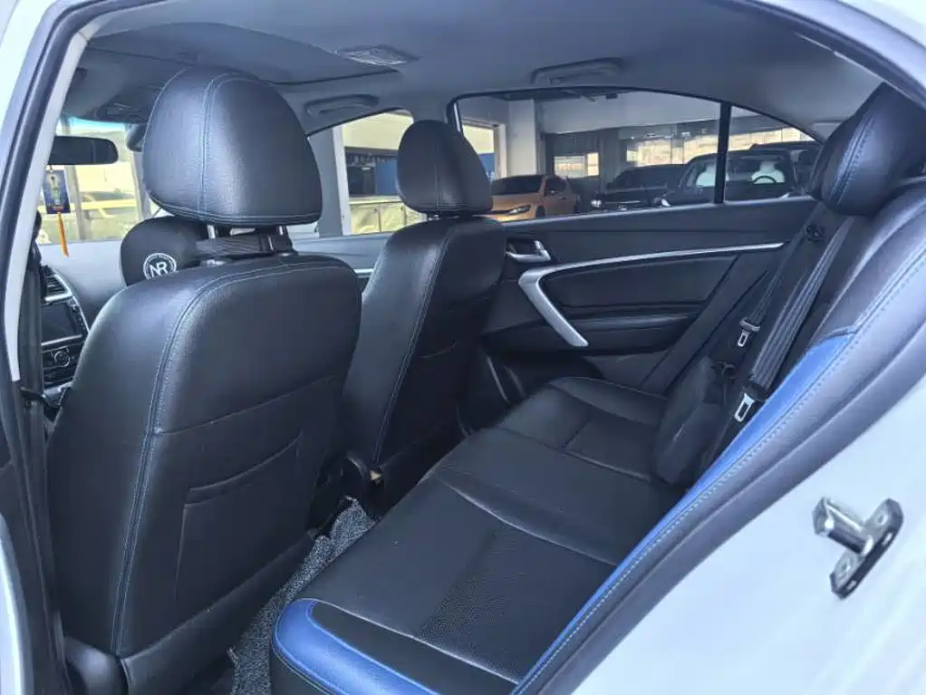 Geely New Energy 2017
