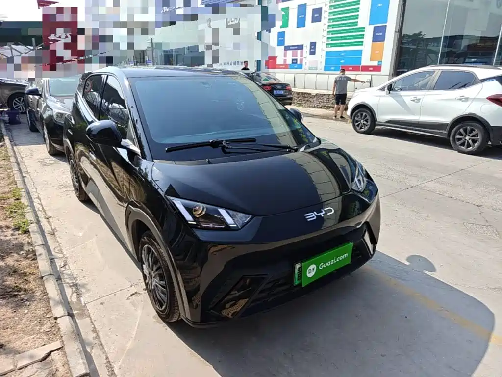 BYD Seagull 2024