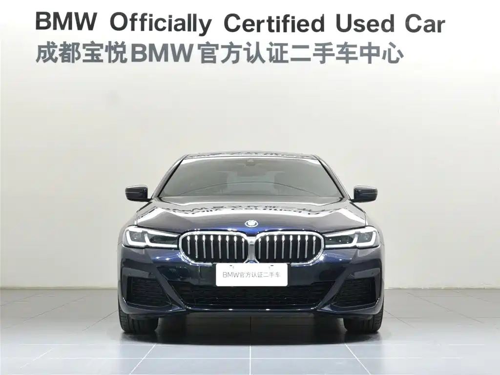 BMW 5 Series New Energy 2022