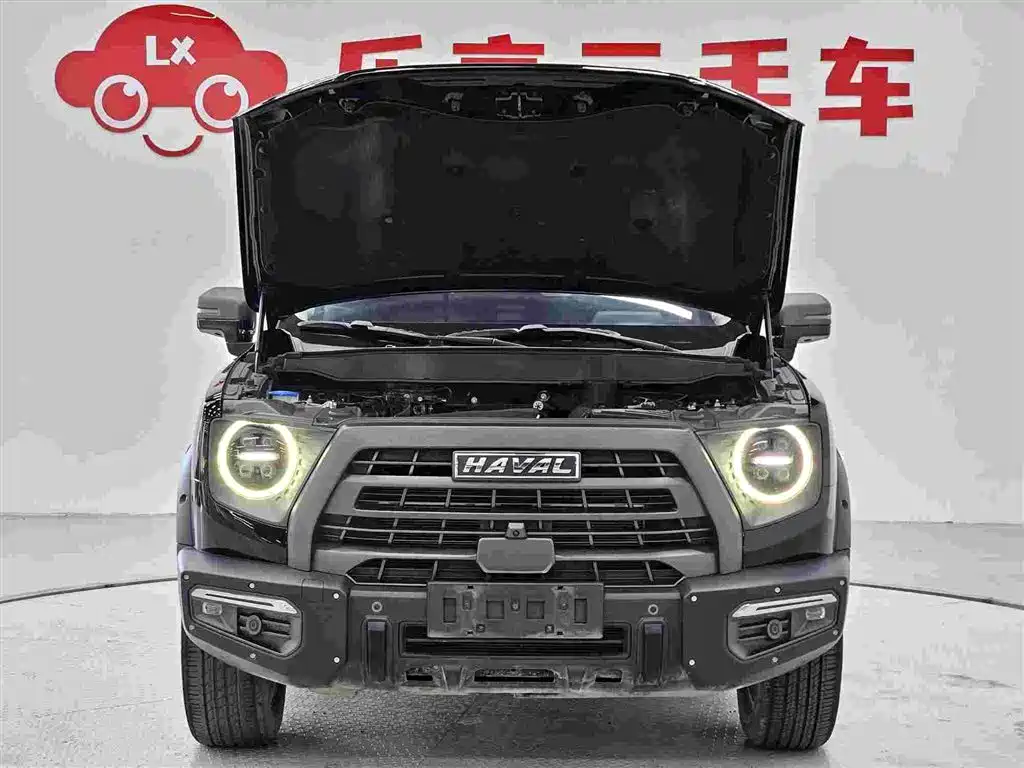 Haval Big Dog 2022 — фото 28