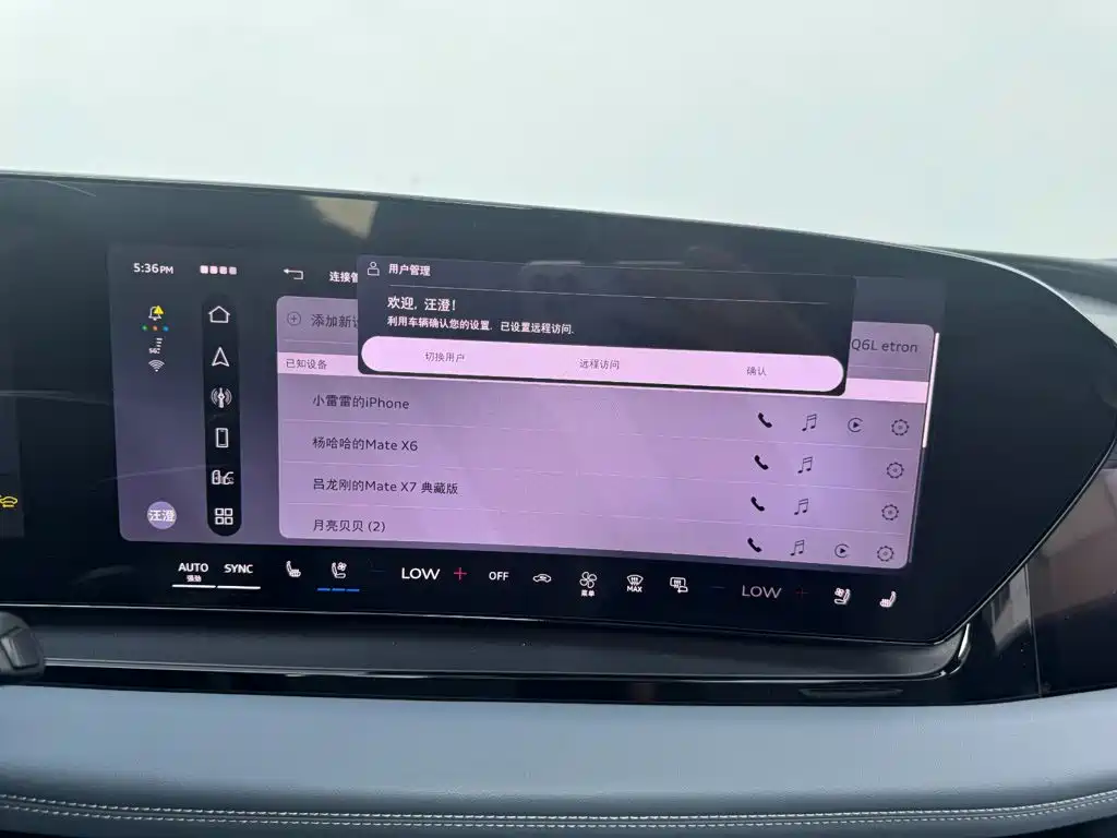 Audi Q6L E-Tron 2025 — фото 18