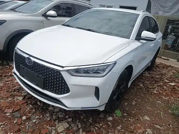 BYD e2 2020