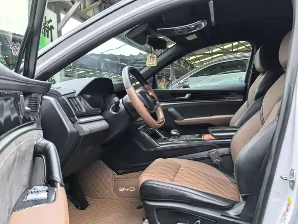 BYD Tang New Energy 2024