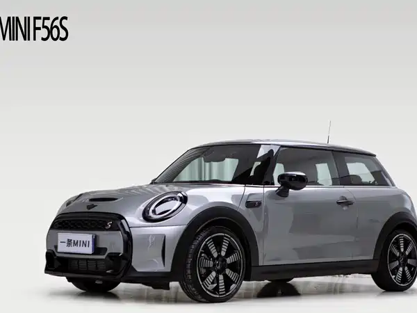 MINI MINI 2024