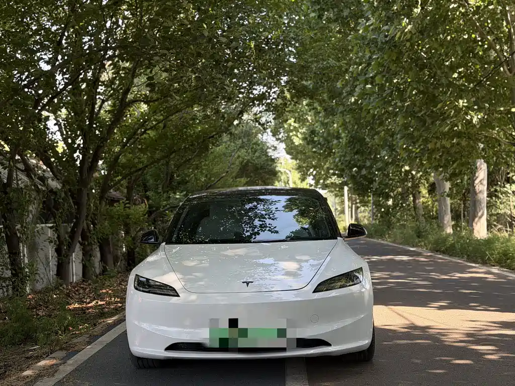 Tesla Model 3 2025