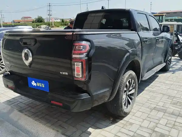 Great Wall Poer 2024