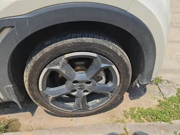 BYD Seagull 2024