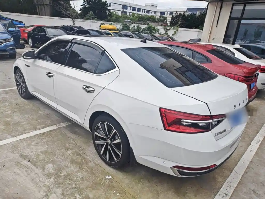 Skoda Speedy 2024