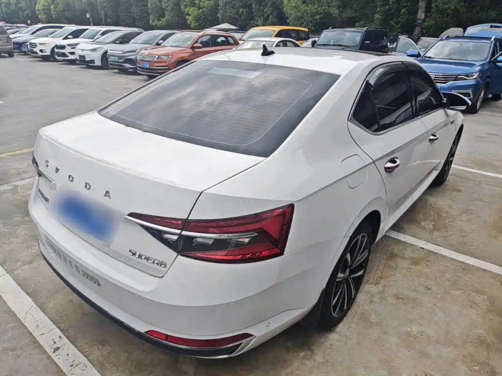 Skoda Speedy 2024