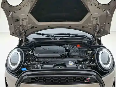 MINI MINI 2021
