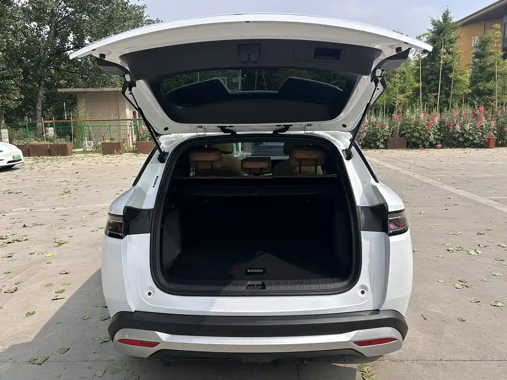 BYD L DM-i 2025 — фото 17
