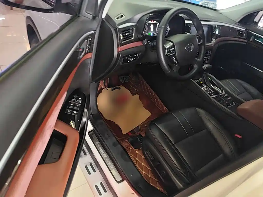 GAC Trumpchi GS8 2018 — фото 16