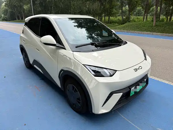 BYD Seagull 2024