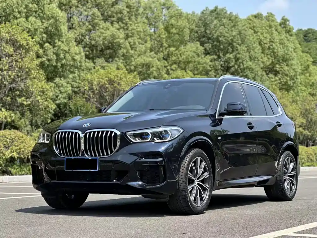 BMW X5 2019 — фото 1