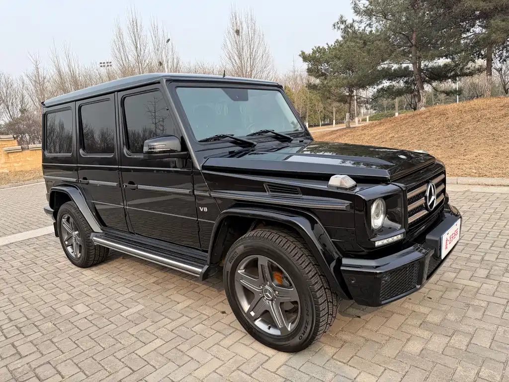 Mercedes-Benz G-Class 2016 — фото 4