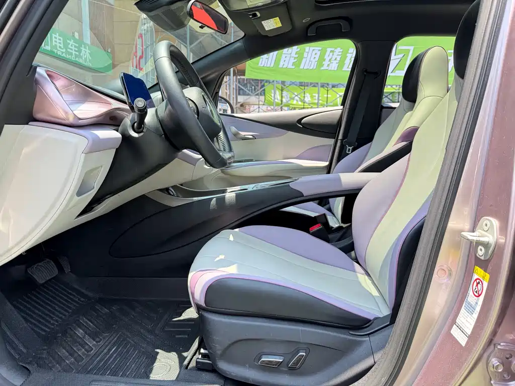BYD Dolphin 2021