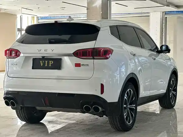 Wey VV6 2020