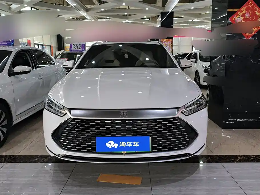 BYD Qin PLUS 2024 — фото 2