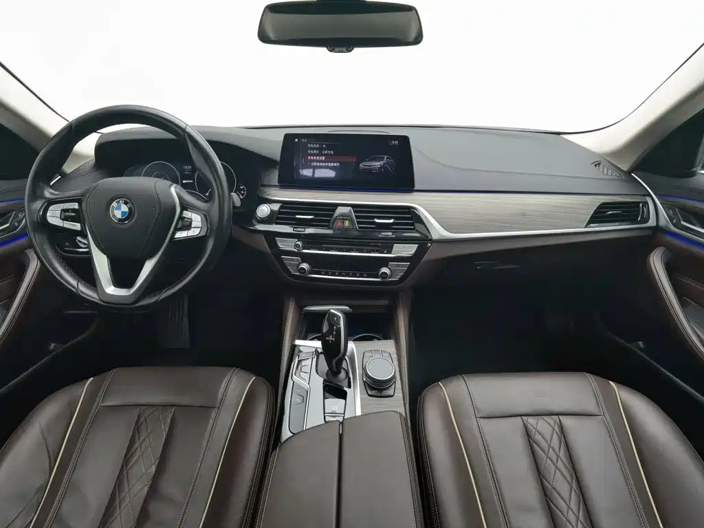 BMW 5 Series New Energy 2019