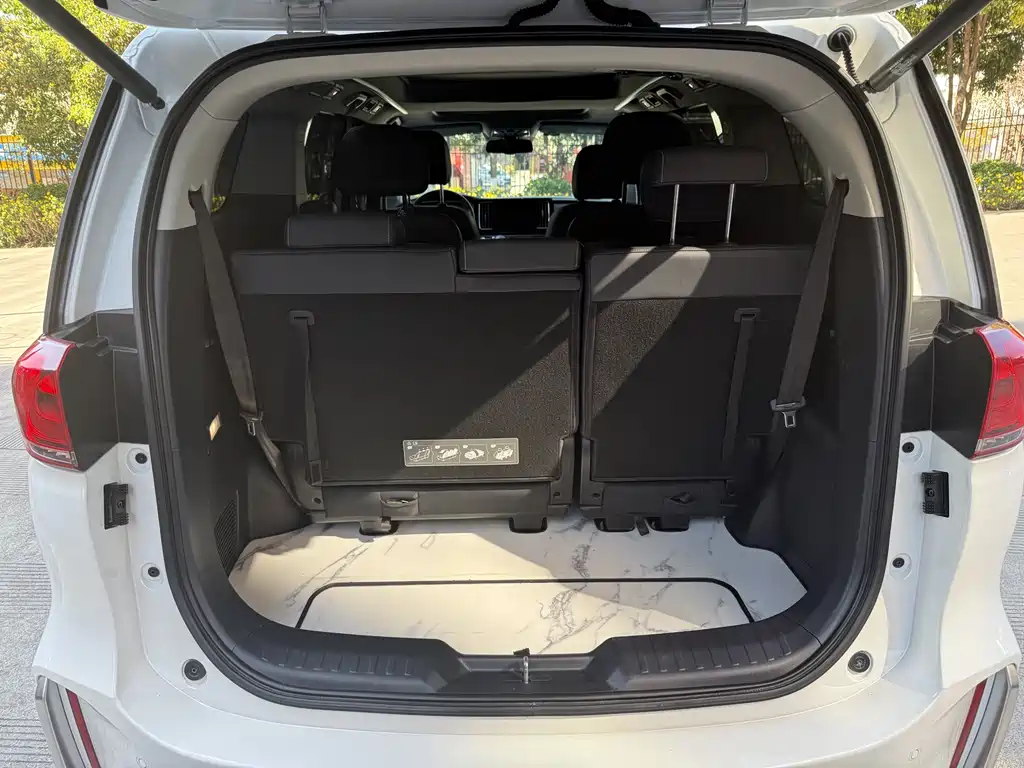 GAC Motor Trumpchi M8 2022 — фото 14