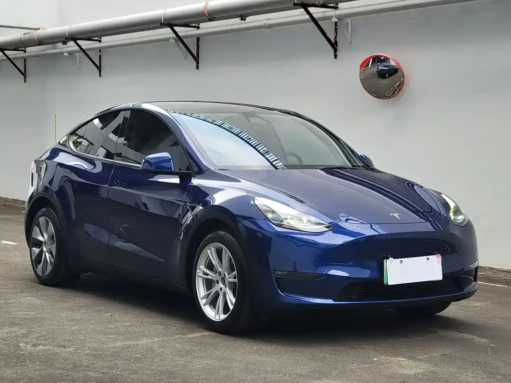 Tesla Model Y 2021 — фото 3