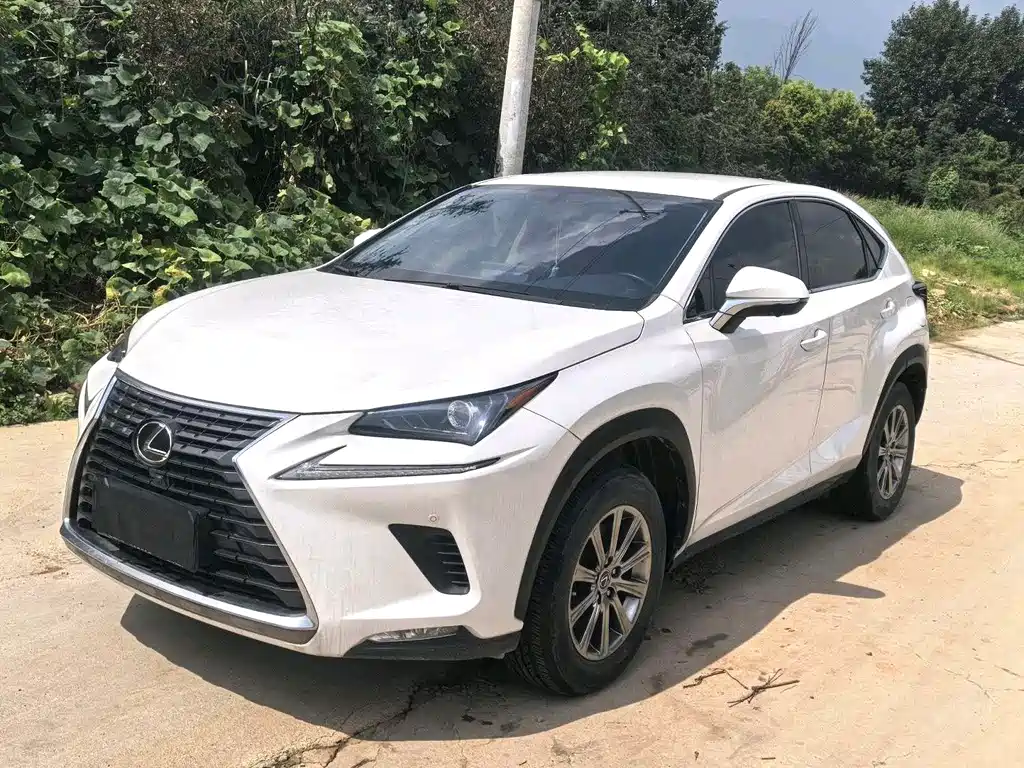 Lexus NX 2020 — фото 1